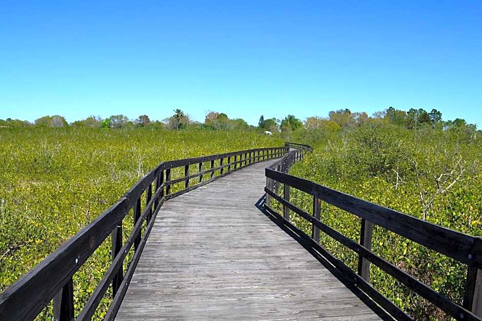 Holiday Inn Express Hotel & Suites Tampa-Oldsmar By IHG