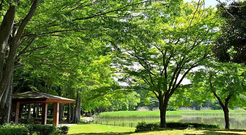 Tabist Tsukuba Sky Hotel