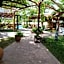 Alba Family Club Hotel