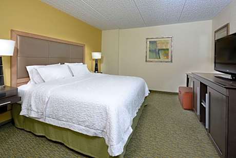 1 King Hearing Accessible W/Sofabed Nosmok