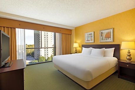 PURE Wellness King Room