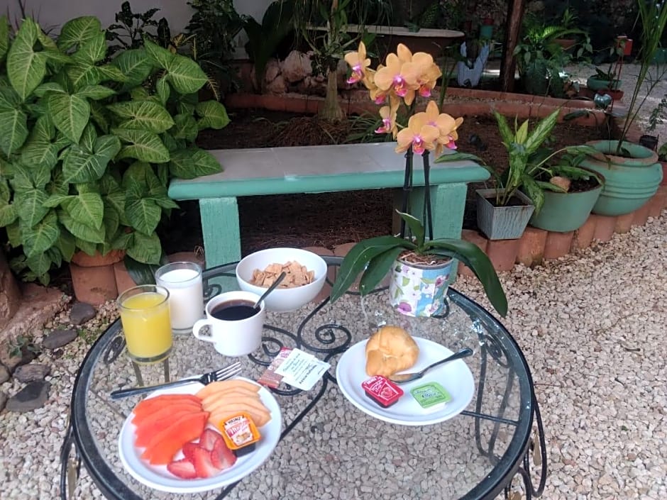 Hotel Casa Pellegrin