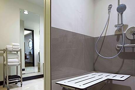 Room, 1 King Bed (Mobility Accessible, Roll-In Shower) (1 King Bed)