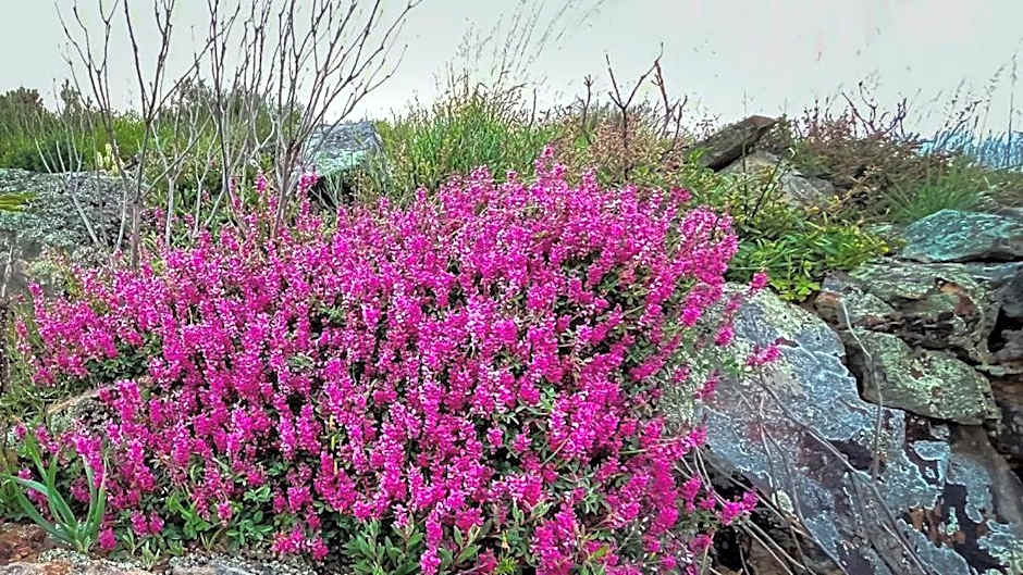 Simbavati Cederberg Ridge