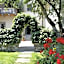 B&B Casa del Nonno