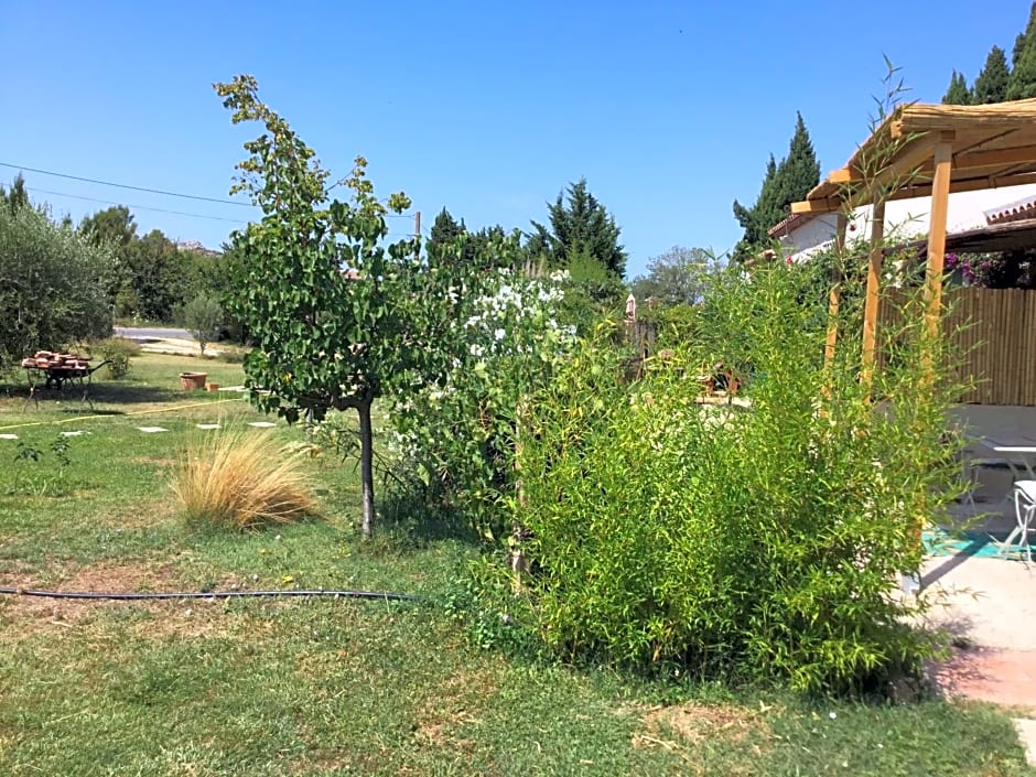 Le jardin du Castillon