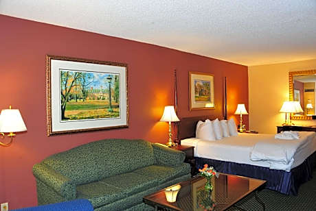 1 King Bed Junior Studio Suite Non-Smoking