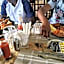 Outback Kenya Lodge