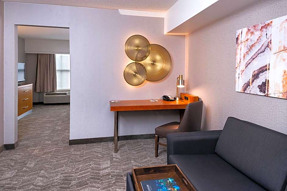 SpringHill Suites by Marriott Pittsburgh North Shore