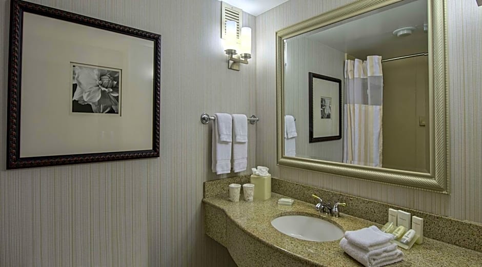 Hilton Garden Inn Auburn/Opelika