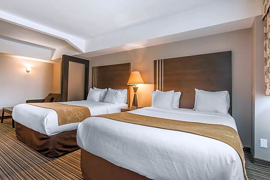 Comfort Suites Downtown