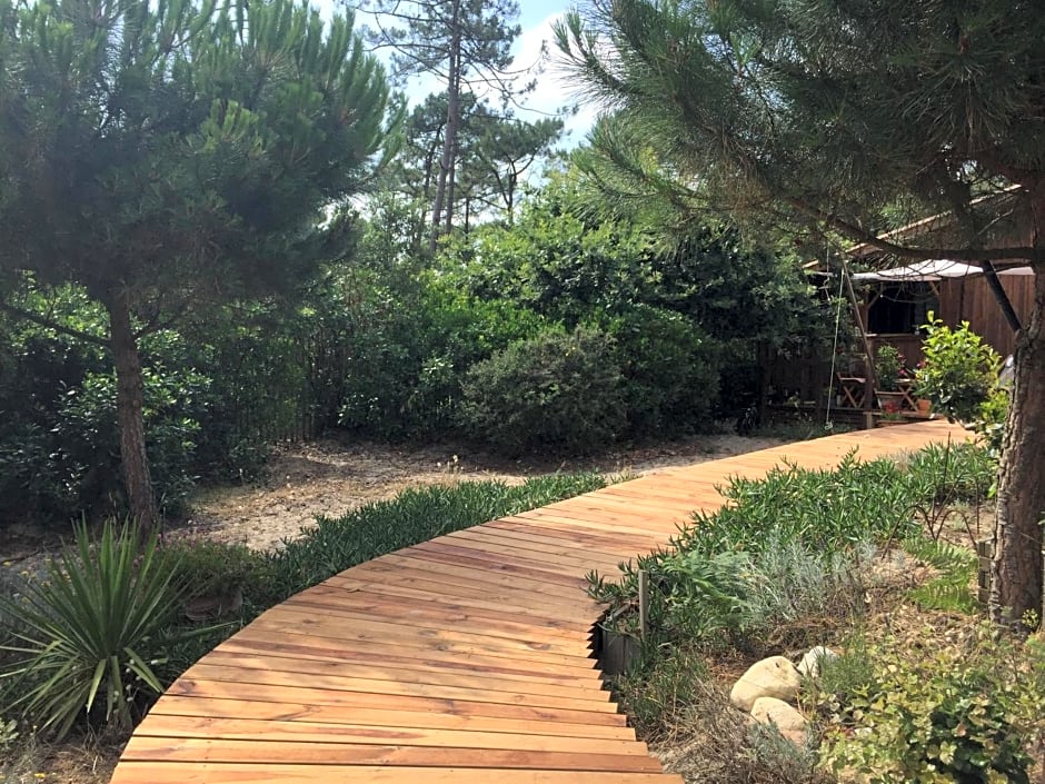 Cabane ZEN OCEAN, les cabanes océanes Montalivet