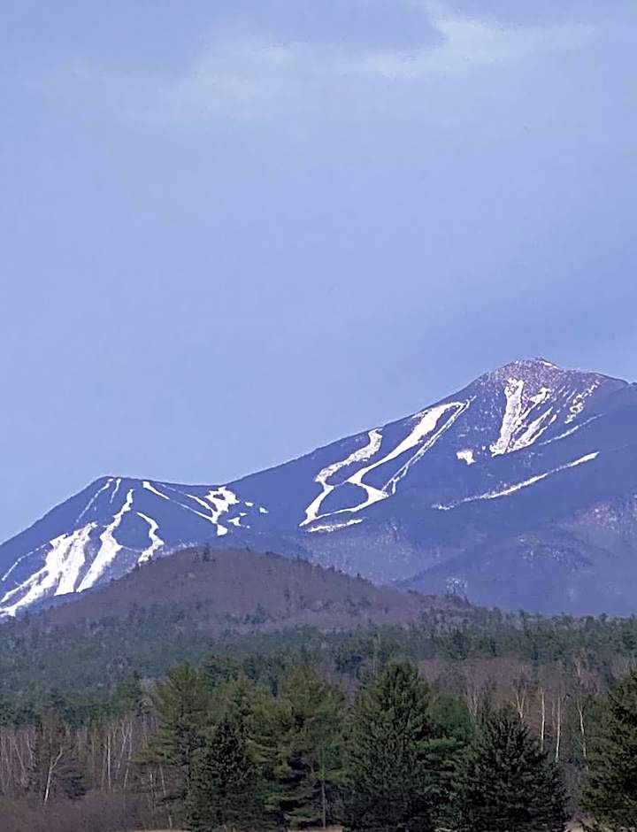 Whiteface Farm Adirondack Bed and Breakfast
