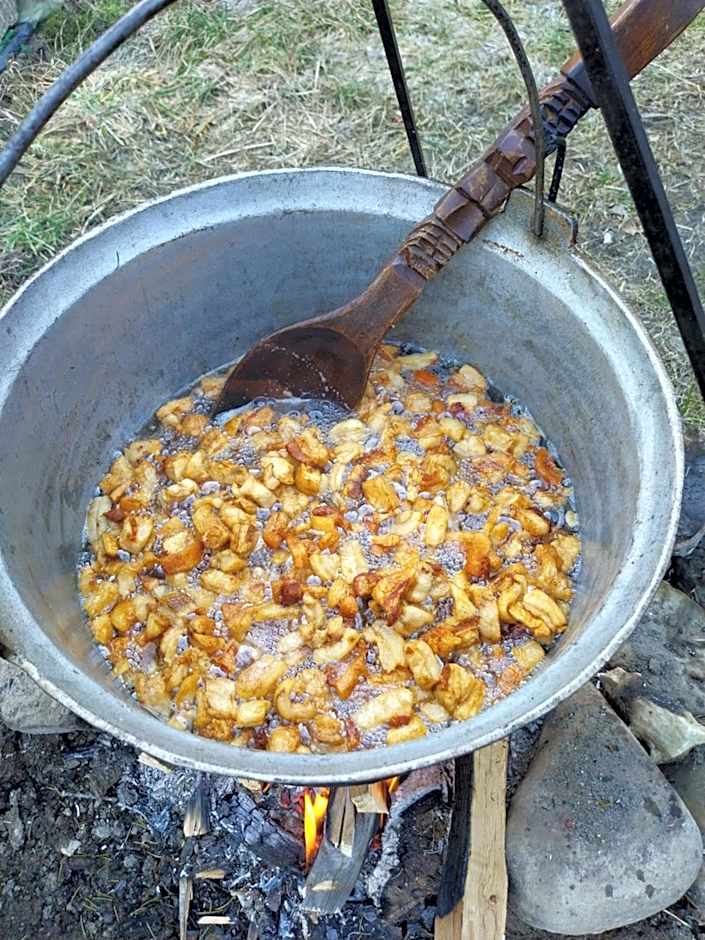 Pensiunea Rustic Oncesti