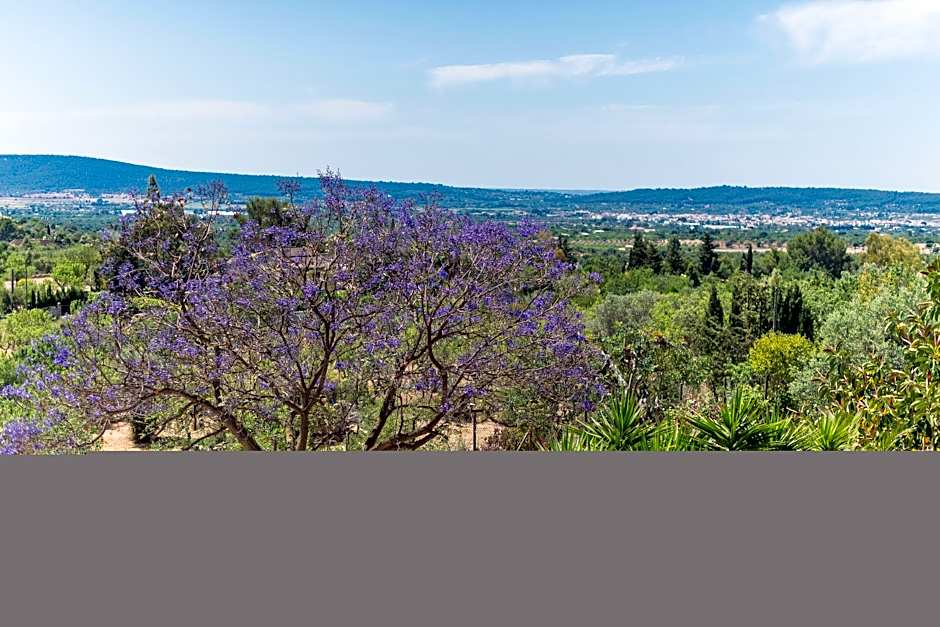 Es Pinar - Villa With Private Pool In Alaro