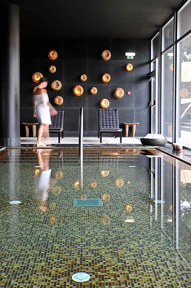 Evidencia Belverde Hotel