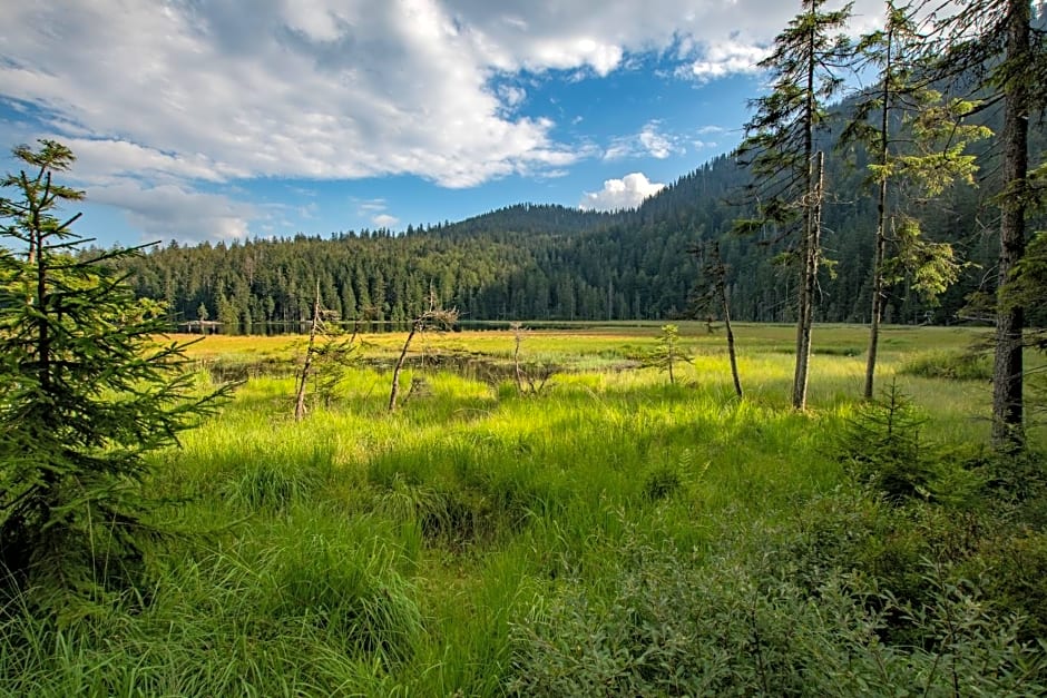 Wander und Aktiv Hotel Rösslwirt