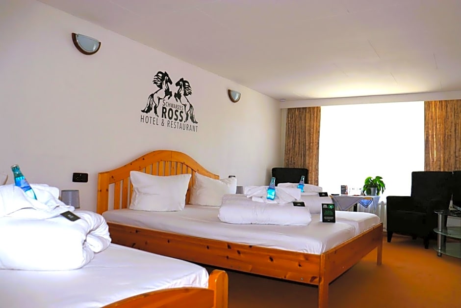 Schwarzes Ross Hotel & Restaurant Oberwiesenthal