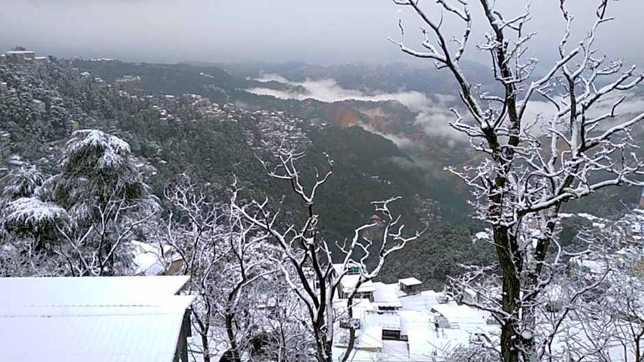 Hotel Amar Palace Shimla
