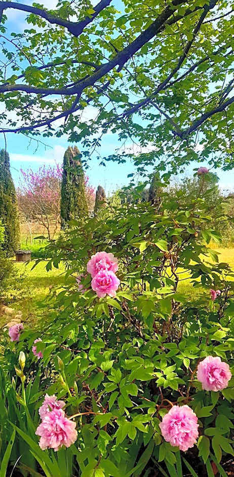 Casa Stella Country House