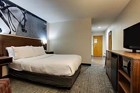 1 King Bed, Hearing Accessible Room, Non-Smoking
