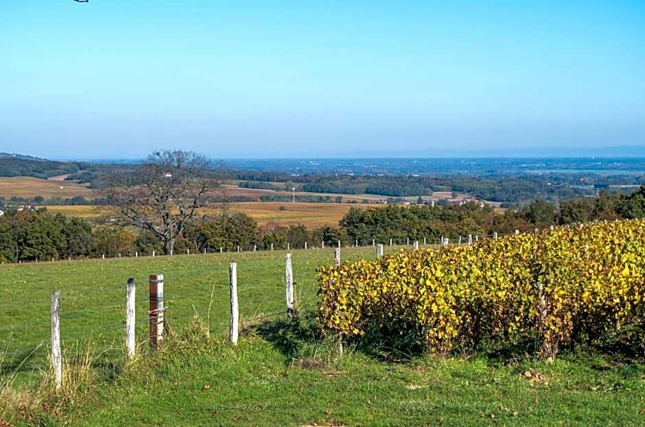 Domaine Joseph LAFARGE Wine Resort B&B