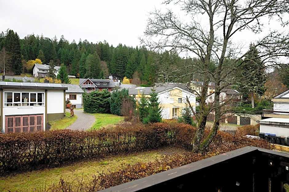 Hotel zum See, Titisee