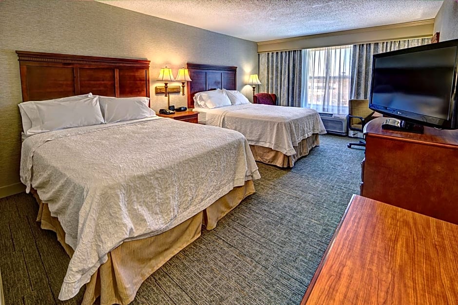 Hampton Inn By Hilton Manning, Sc