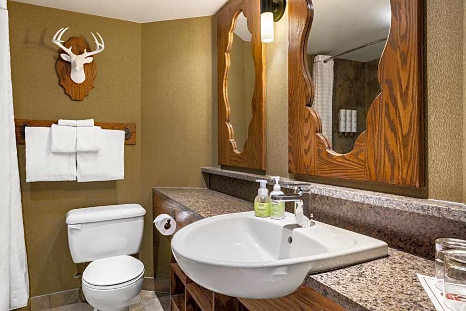 Banff Caribou Lodge And Spa