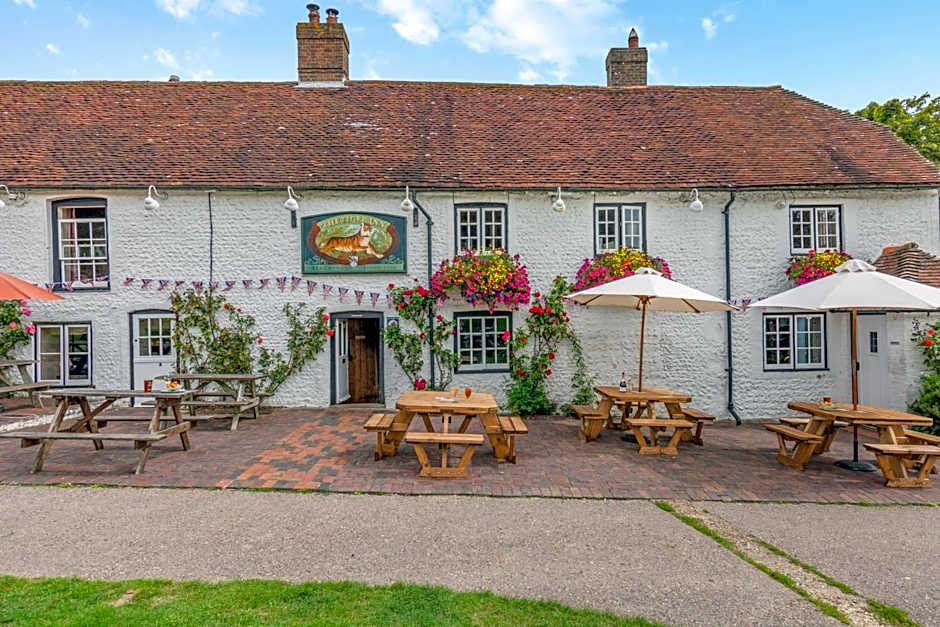 Tiger Inn - Patience