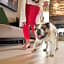Staybridge Suites By Holiday Inn Wisconsin Dells - Lake Delton By IHG