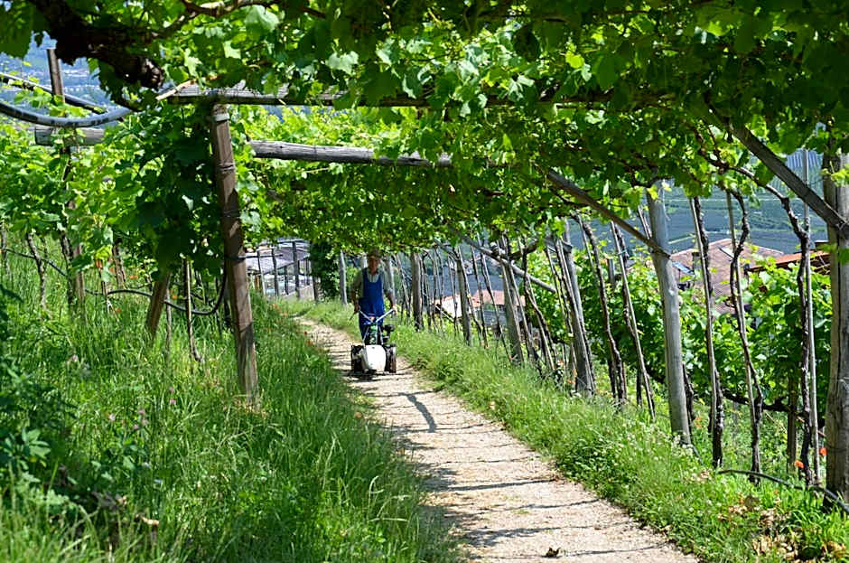 Bed&Breakfast Pension Hilpold