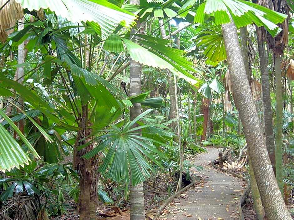 Port Douglas Retreat