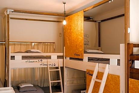 Bunk Bed in Mixed Dormitory Room