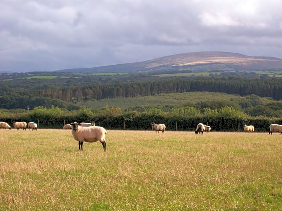 Middletown Farmhouse B&B