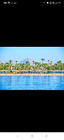 jaz sharm dreams sharm el sheikh