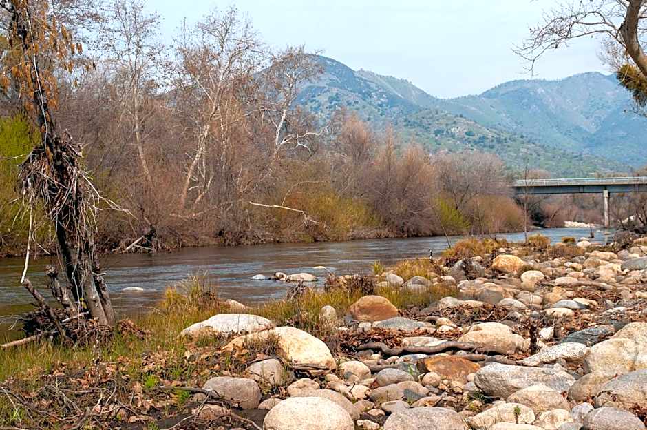Sequoia River Front Cabins