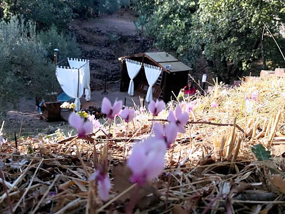 Le Querce Dell'Etna B&B