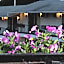 The Lake George Inn