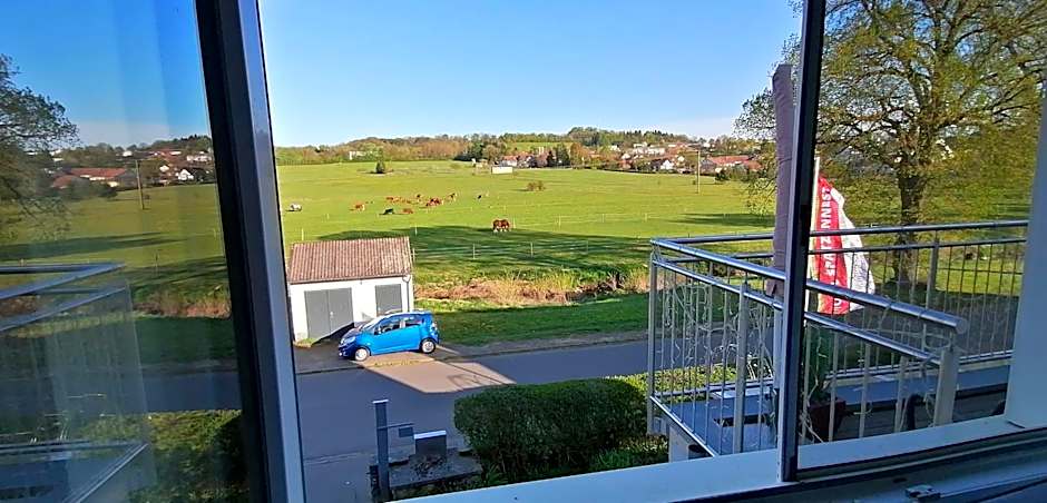 HOTEL SPATZENNEST Vogelsberg