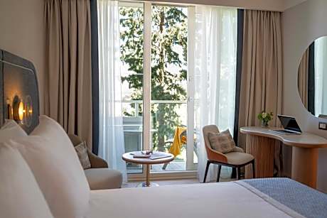 Superior Plus Room with city view and balcony