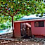 TamaHostel & Glamping