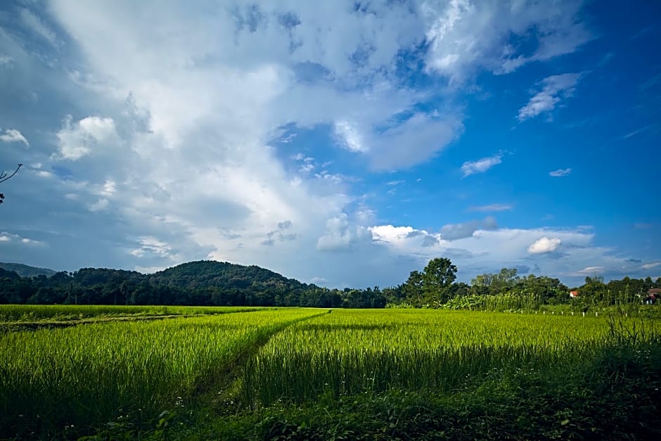 Bambuh Boutique Homestay - Adult Only