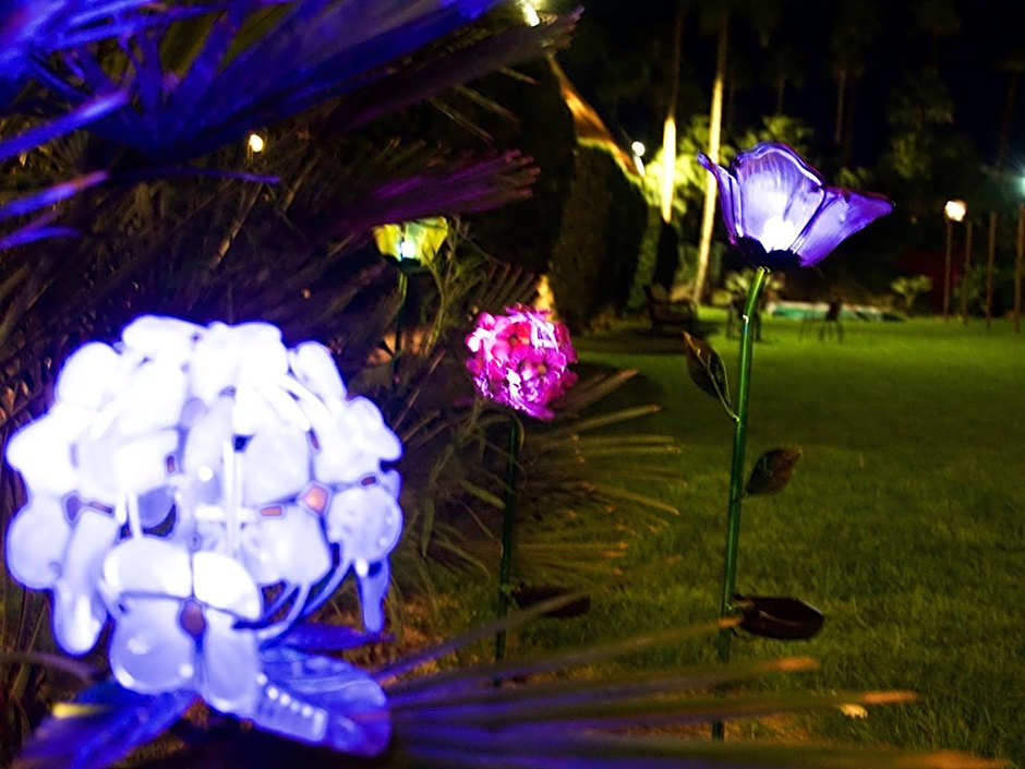 Delos Reyes Palm Springs