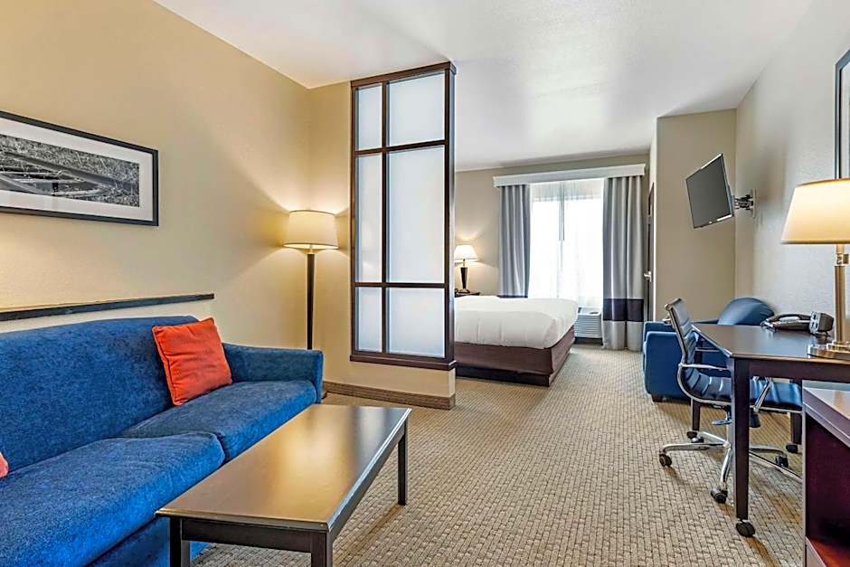 Comfort Suites Palestine