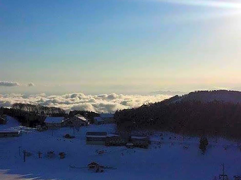 森林公園スイス村 風のがっこう京都