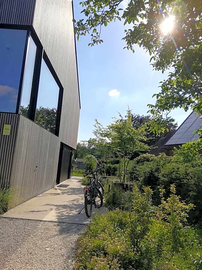 B&B De Stuifduinen