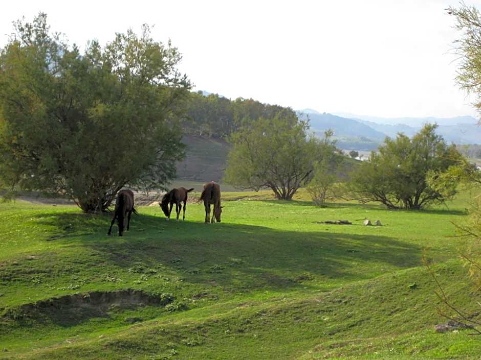 Oasi del Lago