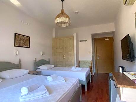 Triple Room with Mountain View