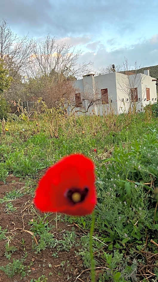 Villa Mouloud, arougou khenifra